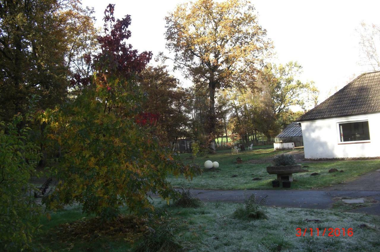 Ferienwohnung Huus Ton Witten Barg Undeloh Luaran gambar